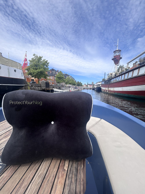 PYN Pillow travel neck pillow sneak peek